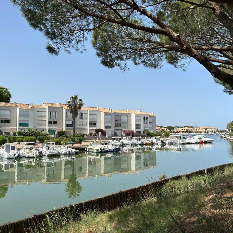 Studio Alcôve 4 Pers RDC avec Parking Privé et Animaux admis à Saint-Cyprien - FR-1-793-24 - Studio - 15