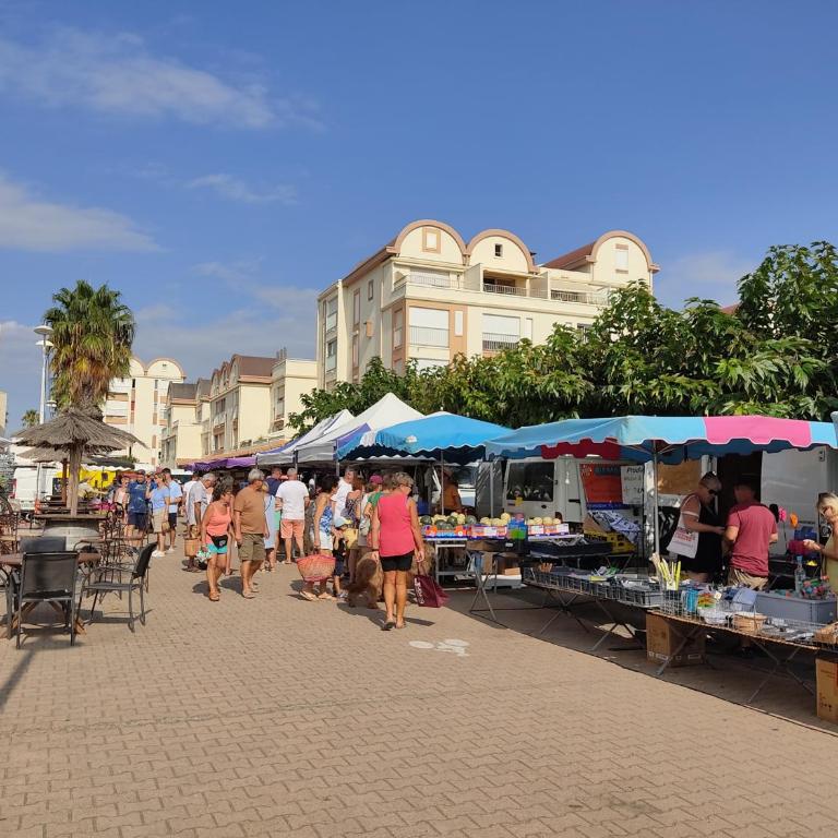 Gruissan: T2 Spacieux 4/5 Pers, Proche Plage Grazel, Parking Privé - FR-1-796-34 - Apartamento - 12