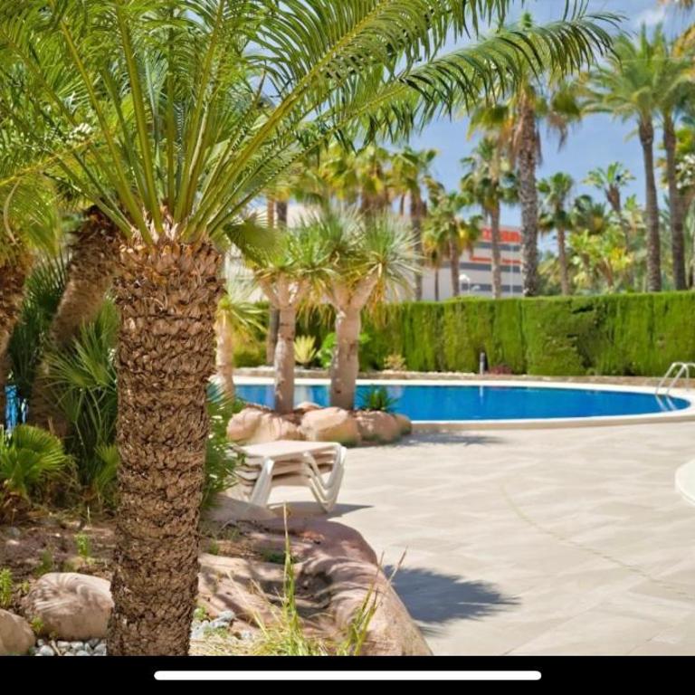 Elite Apartments in Calpe - Apartamento de 2 dormitorios - 25
