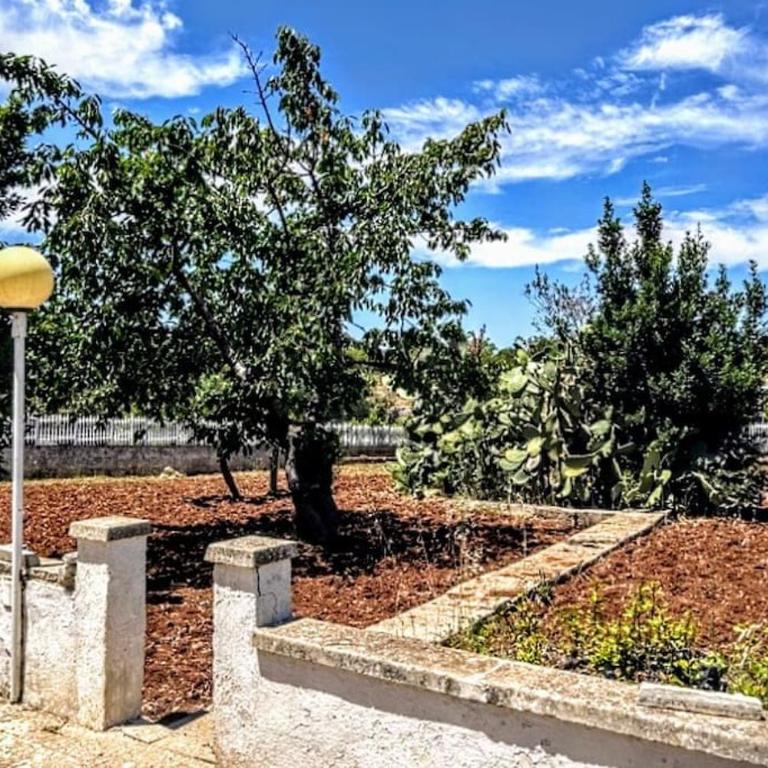 Casa dei Frutti di Ostuni - Appartamento con 2 Camere da Letto e Vista Giardino - 7