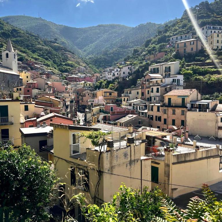 Casa Camilla - Appartamento con 1 Camera da Letto - 12