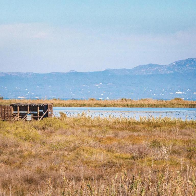 Las Dunas - Two-Bedroom Apartment - 38