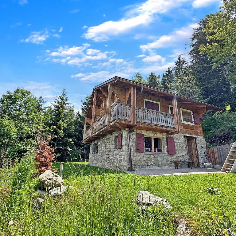 Chalet a Didi - Alps Paradise - 4 Vallees - Chalet - 27