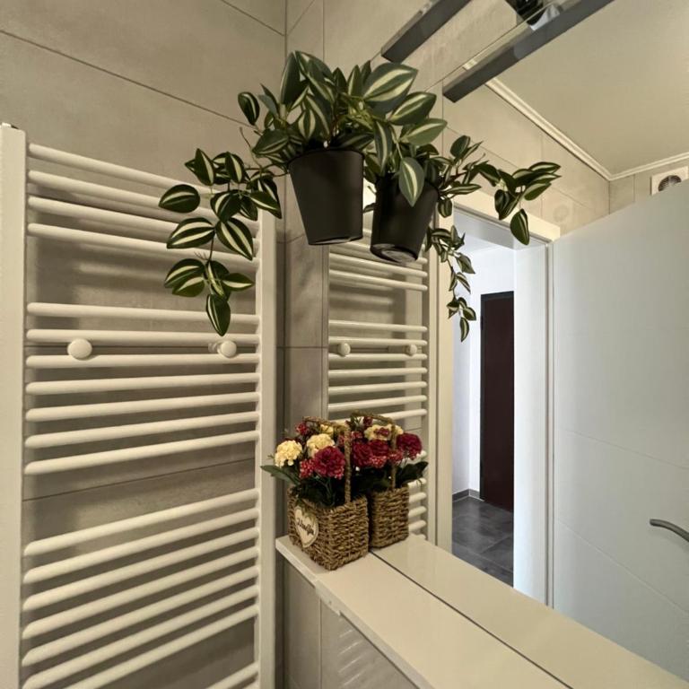 Apartman Jan - One-Bedroom Apartment - 3