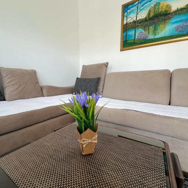 Apartman Jan - One-Bedroom Apartment - 1