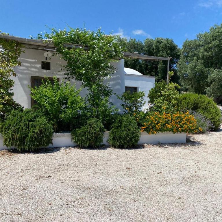 Oasi Rosara, relax in Ostuni - Villa con 3 Camere da Letto - 57