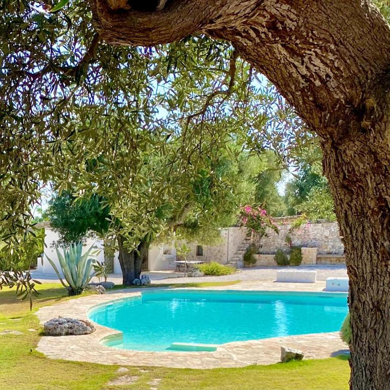 Oasi Rosara, relax in Ostuni - Villa con 3 Camere da Letto - 56
