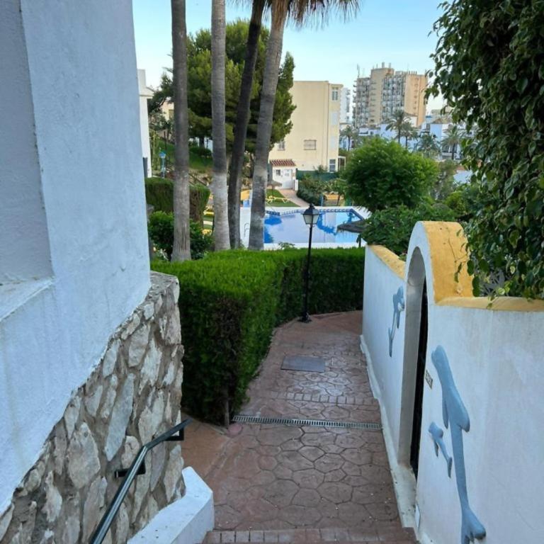 Lomas de Benalmar beach piscina air parking Andra - Apartamento de 1 dormitorio - 2