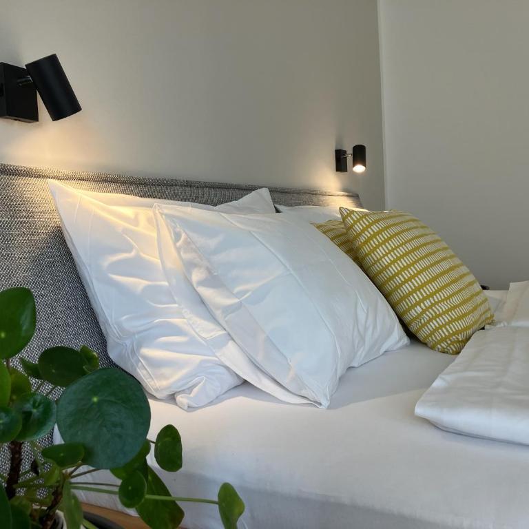 Appartements Gästehaus Gallob - Studio mit Gartenblick - 10