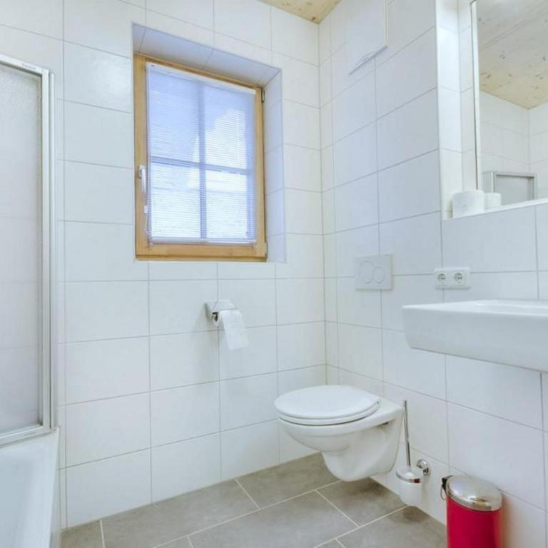 Grünerstein Chalet Jungbrunnen - Ferienhaus - 19