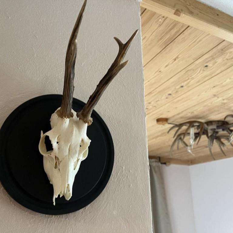 Appartement Juri - Ferienhaus - 23