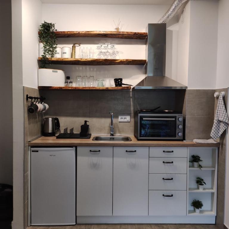 Apartman Vitko Divčigora - Deluks Studio sa Bračnim Krevetom (King-size) - 8