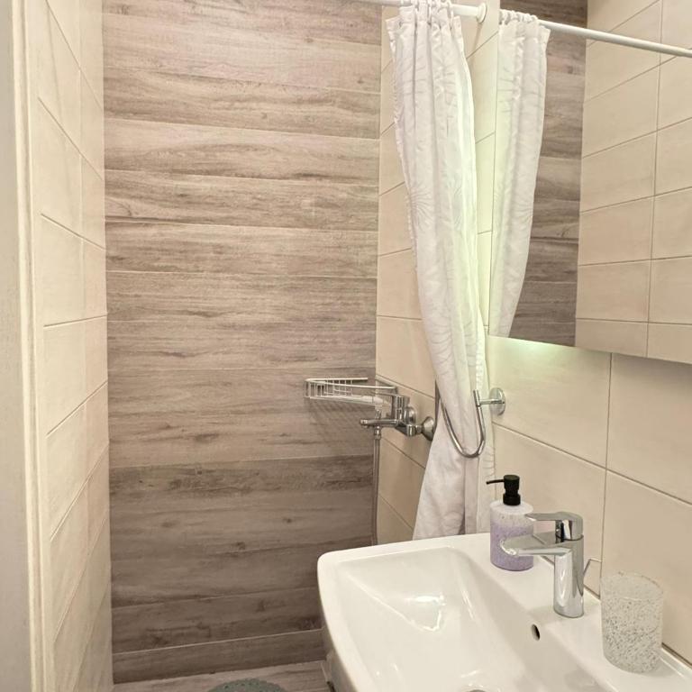 "Čobanija" City Center Apartments - Apartman sa 1 Spavaćom Sobom - 12