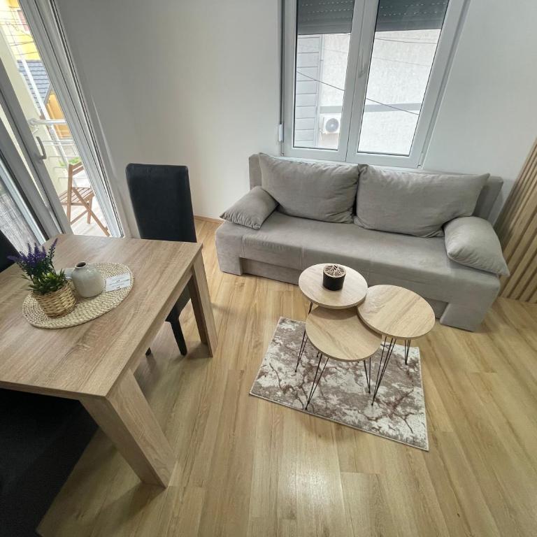 Apartmani Videnovic Sokobanja - Apartman sa 1 Spavaćom Sobom - 10