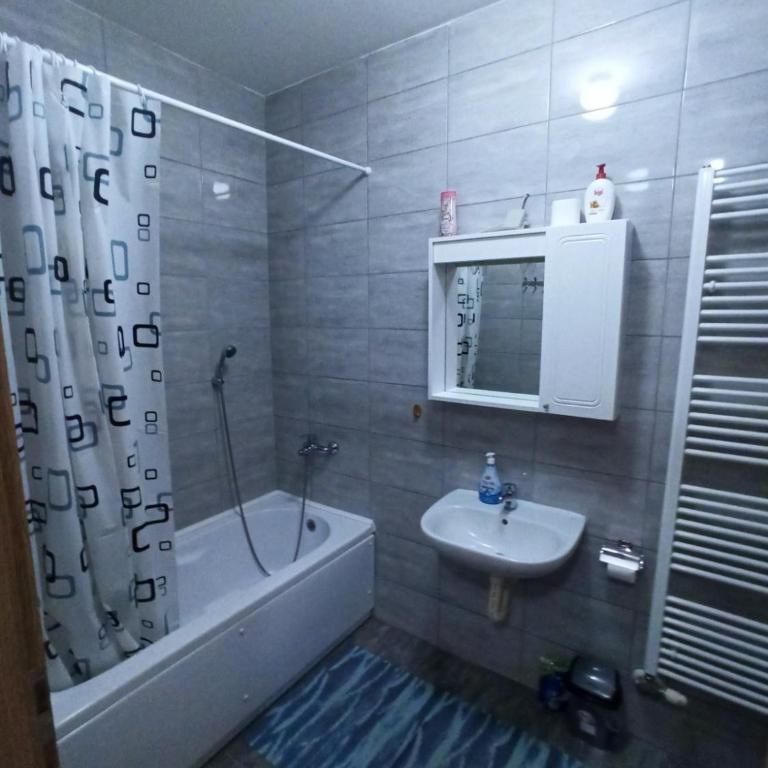 Avaz - apartman - Apartman sa 1 Spavaćom Sobom - 22