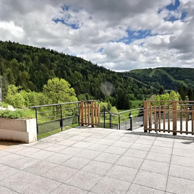 La Ligne Bleue des Vosges - Appt proche des pistes - Apartamento de 1 dormitorio - 13