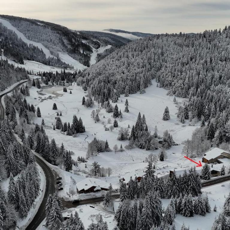 La Ligne Bleue des Vosges - Appt proche des pistes - Apartamento de 1 dormitorio - 17