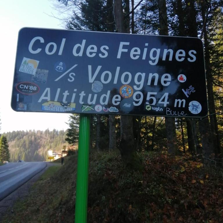 La Ligne Bleue des Vosges - Appt proche des pistes - Apartamento de 1 dormitorio - 18