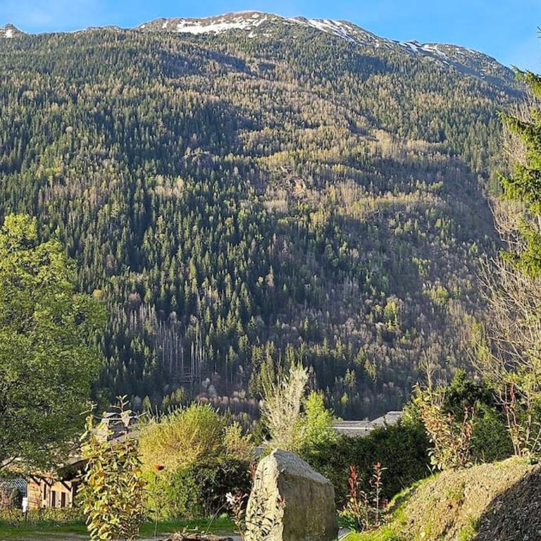 Studio Saint Antoine Les Houches - Appartement 1 Chambre - 5