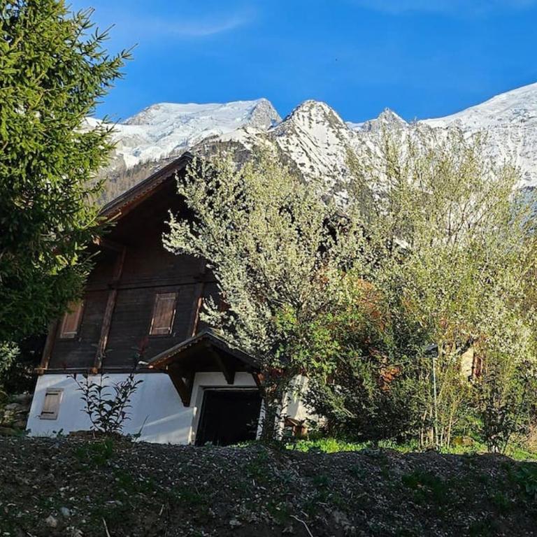 Studio Saint Antoine Les Houches - Appartement 1 Chambre - 7