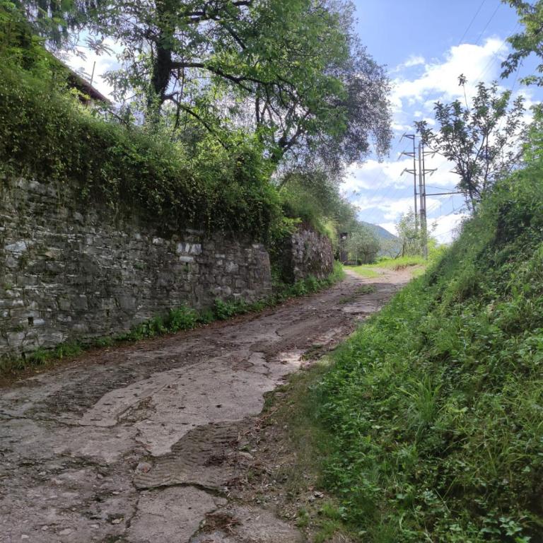 Villa Bianca Lierna - Villa con 3 Camere da Letto - 56