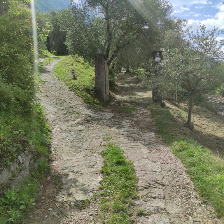 Villa Bianca Lierna - Villa con 3 Camere da Letto - 57