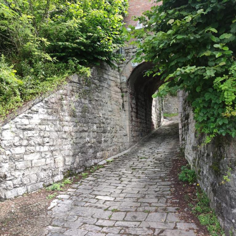 Villa Bianca Lierna - Villa con 3 Camere da Letto - 54