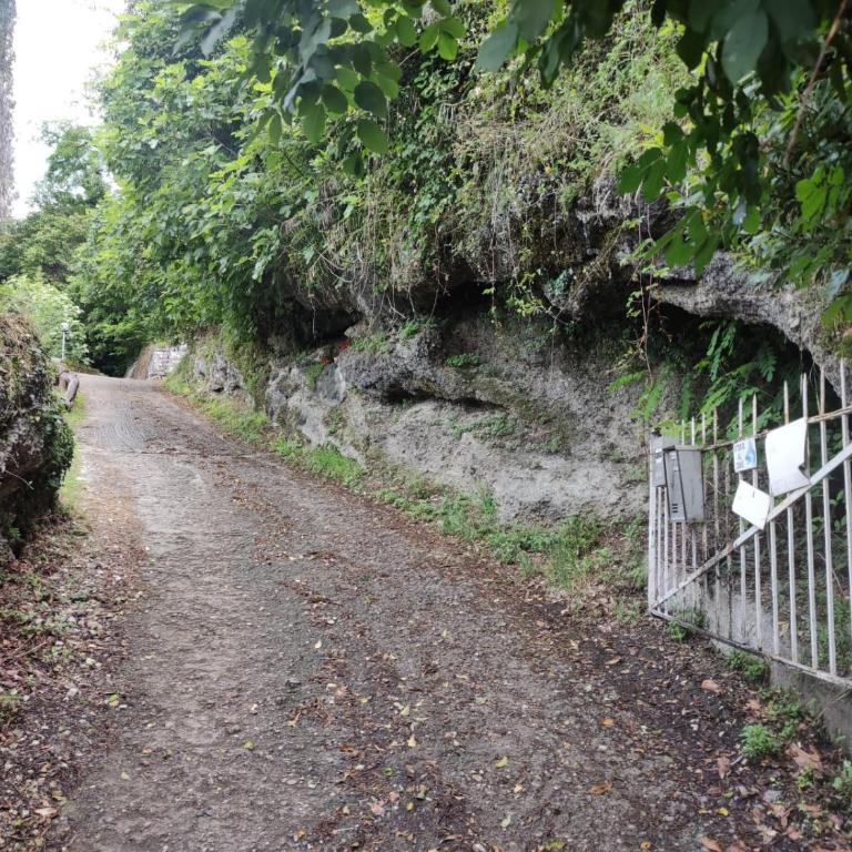 Villa Bianca Lierna - Villa con 3 Camere da Letto - 53