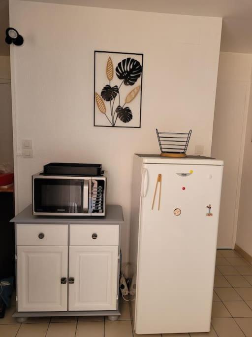 Notre vue du Grau - Appartement 1 Chambre - 15