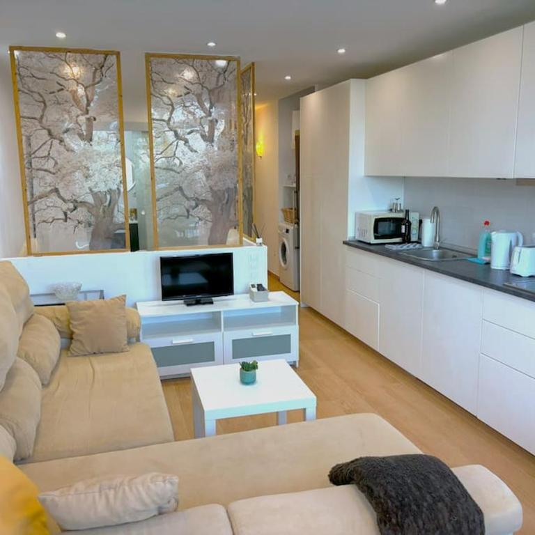 Evans Realty BC Estudio en Torremolinos centro - Apartamento de 1 dormitorio - 11