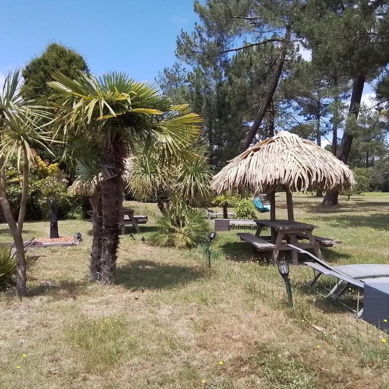 Villa Saint Barth - Chambre Double - Vue sur Jardin - 13
