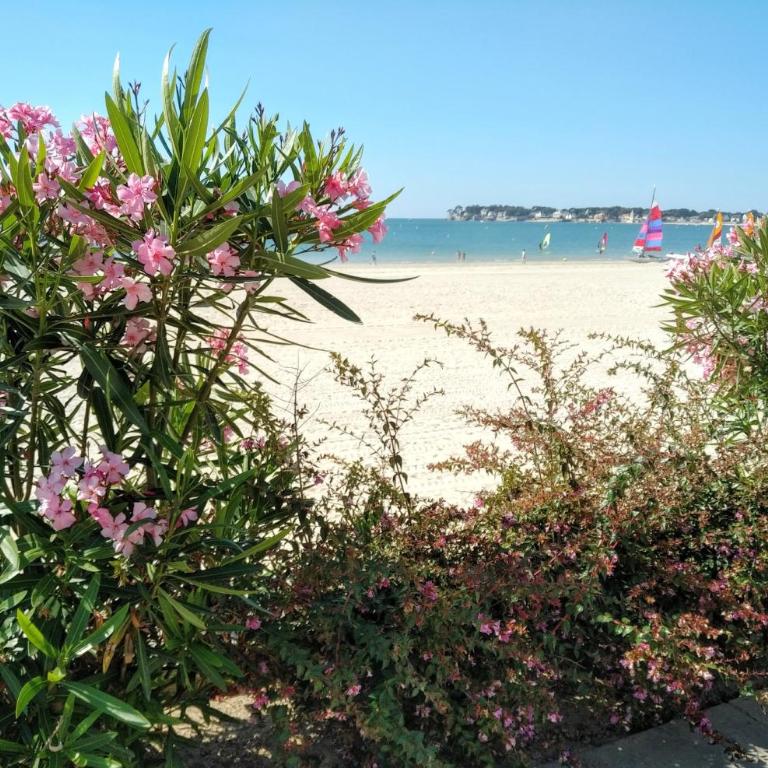Le Capitole - Studio d'exception accès direct à la plage Benoît - Monolocale con Vista Giardino - 4
