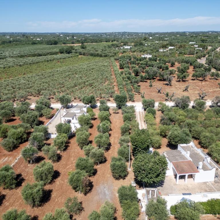 Trullo La Quercia - Casa a Schiera con 3 Camere da Letto - 66