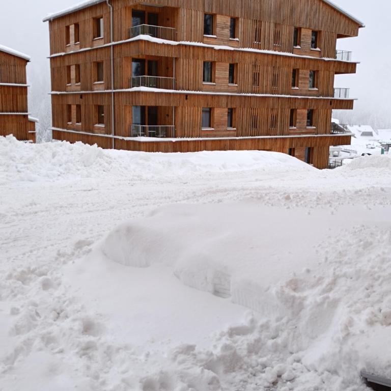 Nassfeldpass Pistenblick - Apartment mit 1 Schlafzimmer - 25