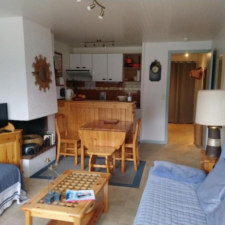 Studio 3 Pers, Proche Remontées Châtel - FR-1-676-113 - Studio - 1