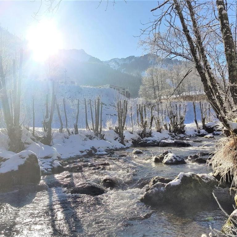 Chalet de charme 8 pers, cheminée, jacuzzi, parking - FR-1-676-96 - Chalet - 20
