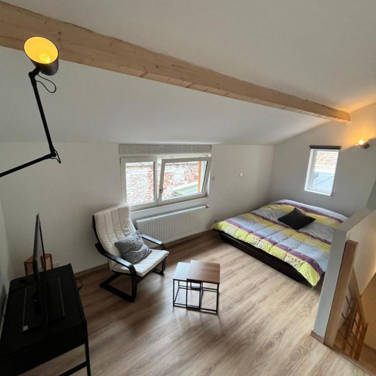 Le Chaufour Lille - Apartment mit 1 Schlafzimmer - 1