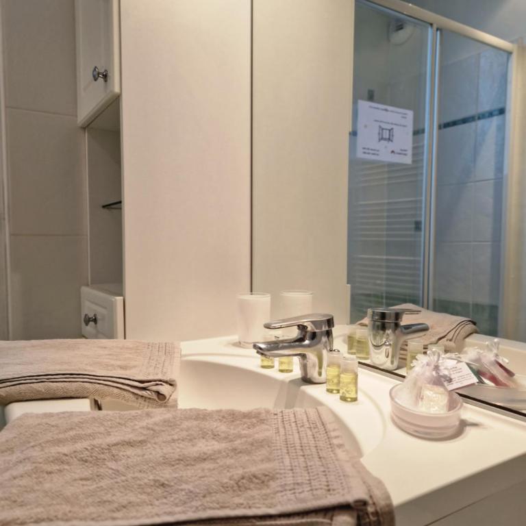Dynastie 21 - Appartement 4 personnes Dijon Centre - Apartamento de 1 dormitorio - 21