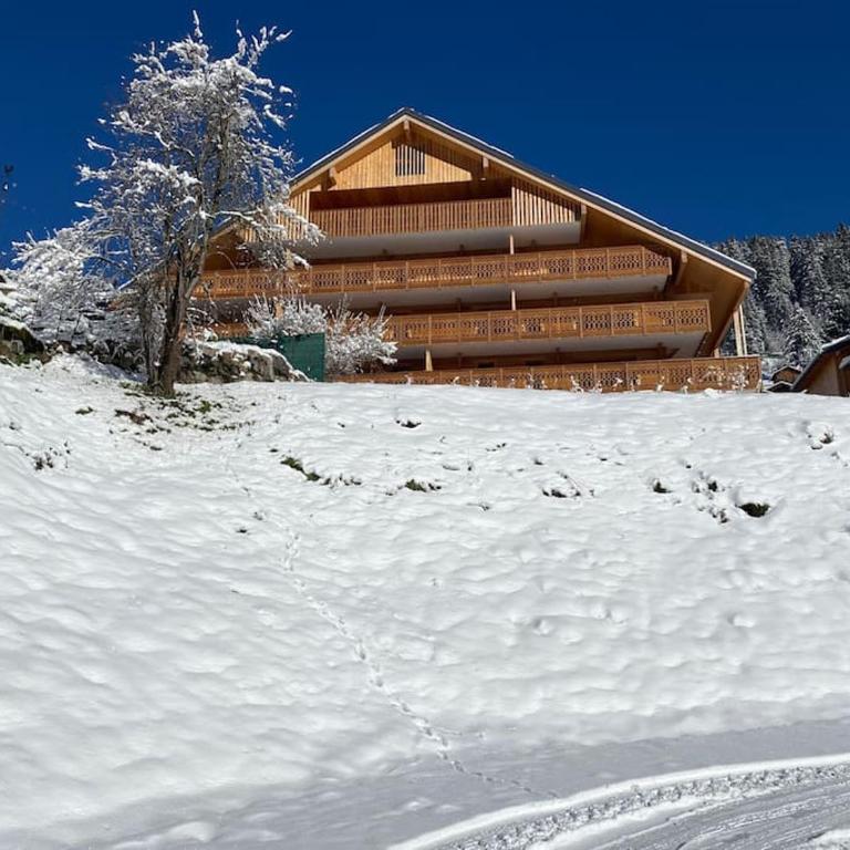 Ferme de Suzanne 9 - T4 avec vue surplombant la station - Appartement 3 Chambres - 11