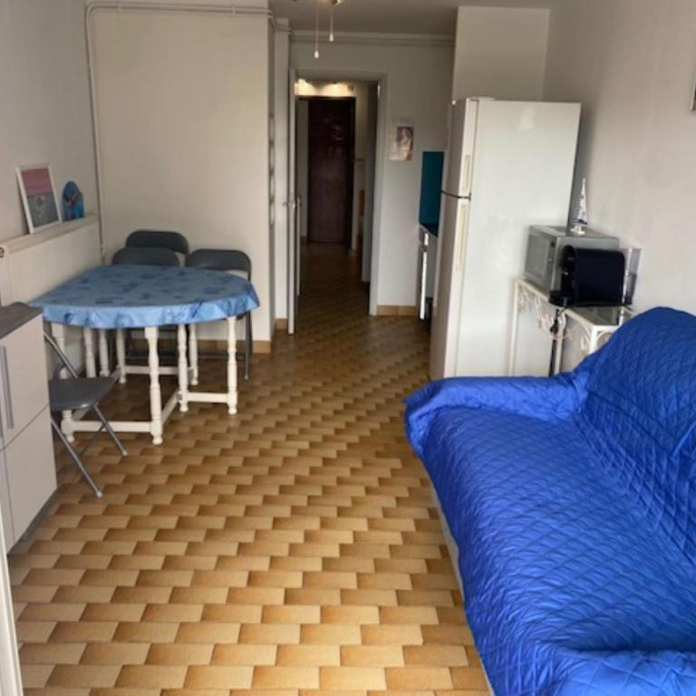 Vittoria Immobilier 5 - REGLEMENT SUR PLACE - chèques vacances acceptés - Studio with Terrace - 8