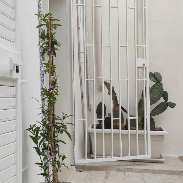Il Cortile di Mabe - Casa Vacanze - 12