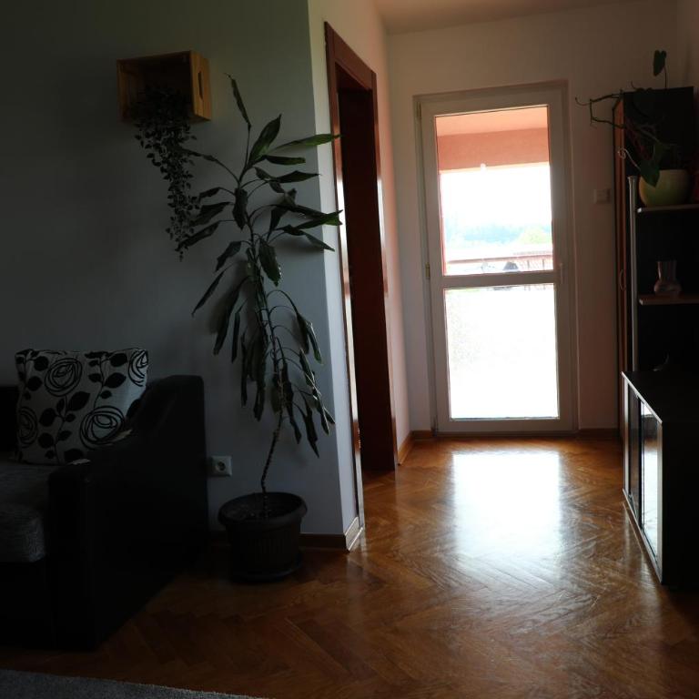 Lucic apartments - Apartman sa 1 Spavaćom Sobom - 2