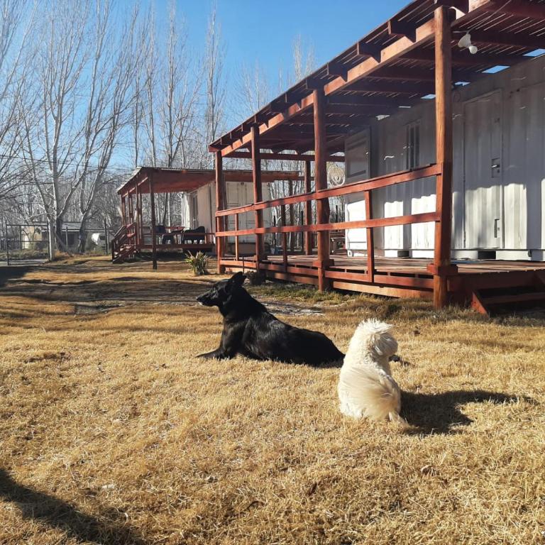 La Campigna, Neuquen - Apartamento de 1 dormitorio - 12