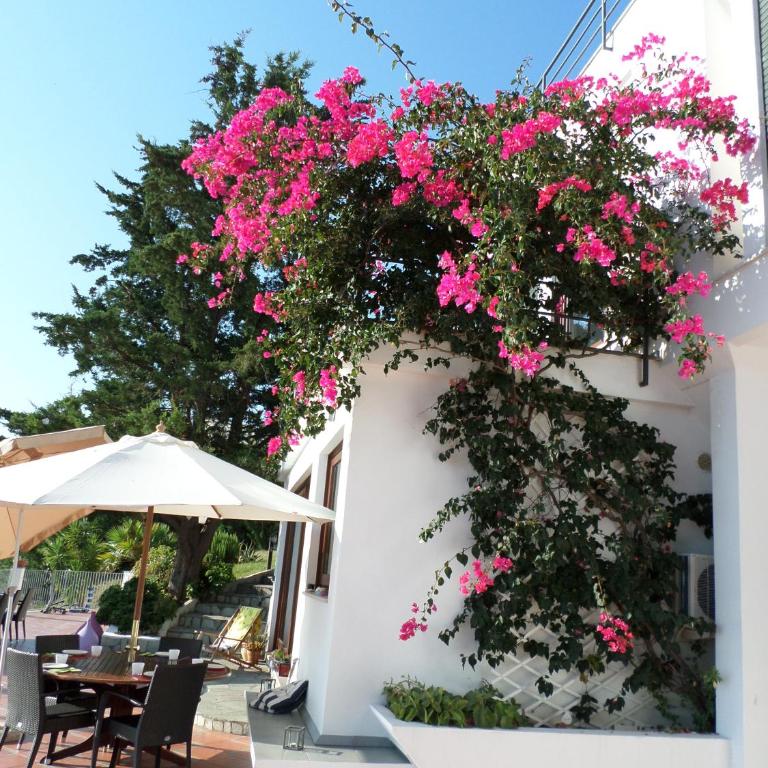 Baia Scirocco Bed and Breakfast - Camera Matrimoniale Standard - 14