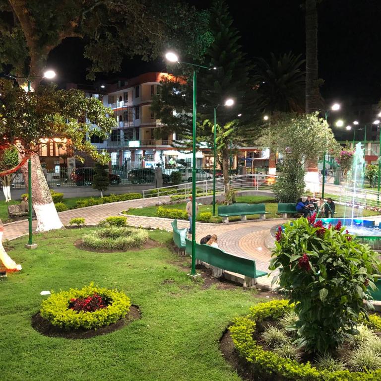 Yellow Door - 2 bedroom 1 bath - Two-Bedroom Apartment - 19