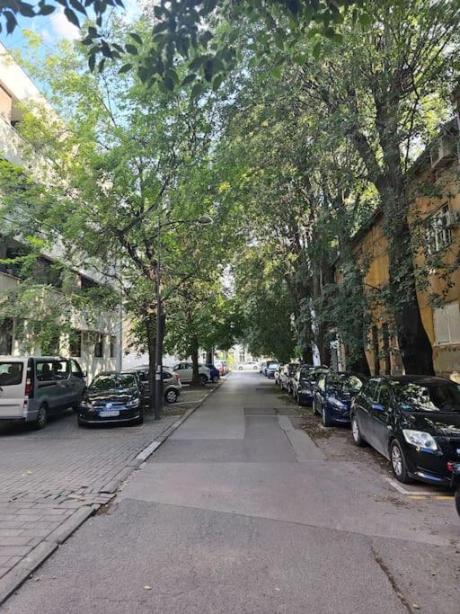 Central Sweet 9 - Apartman sa 1 Spavaćom Sobom - 25