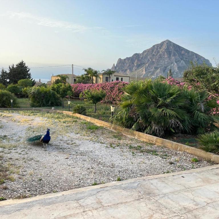 Villa Lea - Villa con Vista Mare - 40