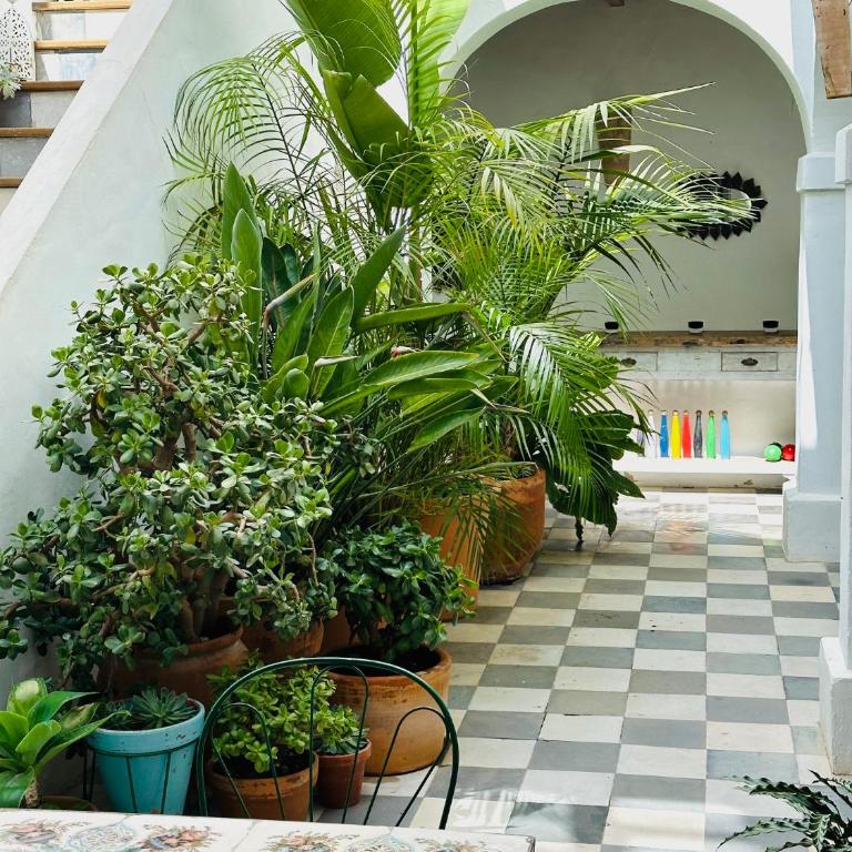 Spacious Private Vejer Patio Home - Casa de 5 dormitorios - 14