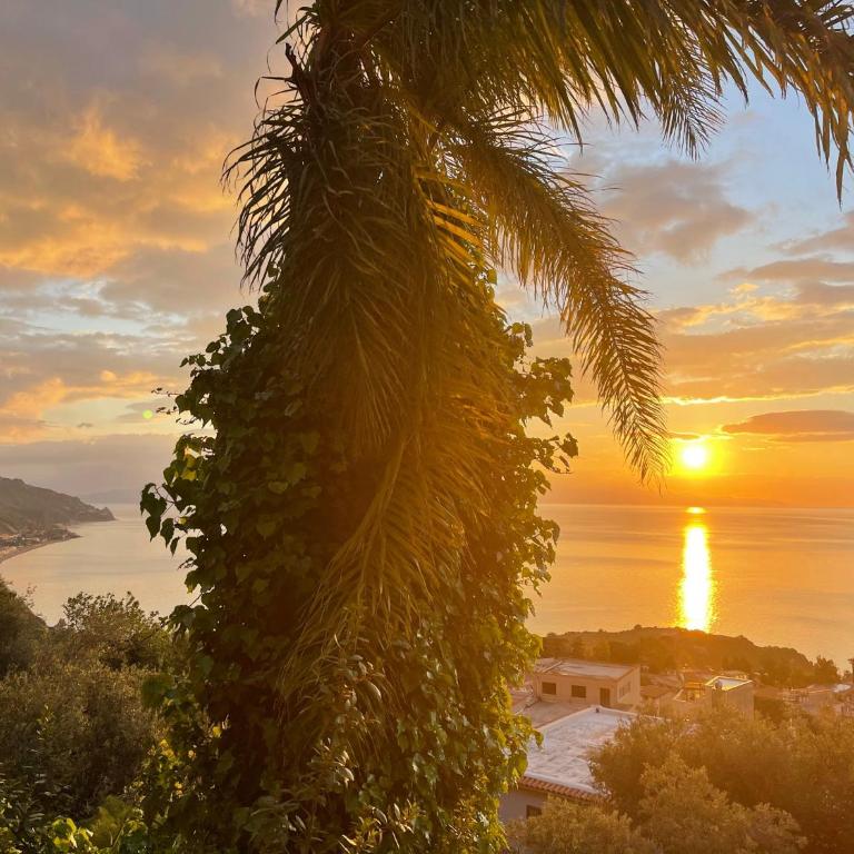 Villa des Arts - Taormina - Casa con 2 Camere da Letto - 2
