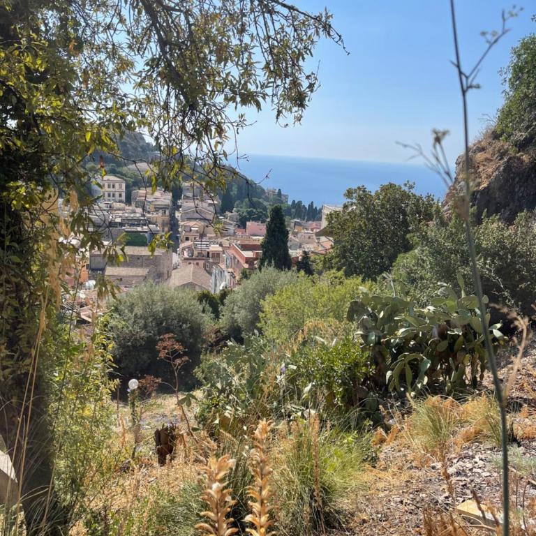 Villa des Arts - Taormina - Casa con 2 Camere da Letto - 48